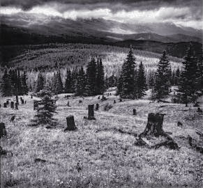Baldy Mountain