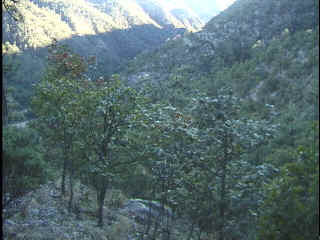 Shadows were already filling the valleys